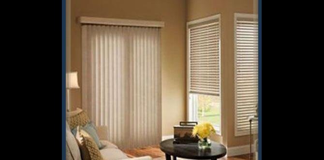 Budget Friendly Blinds