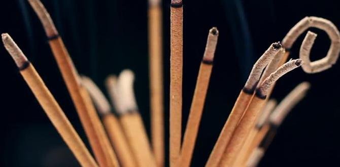 Factors to Consider Coosing Incense Sticks